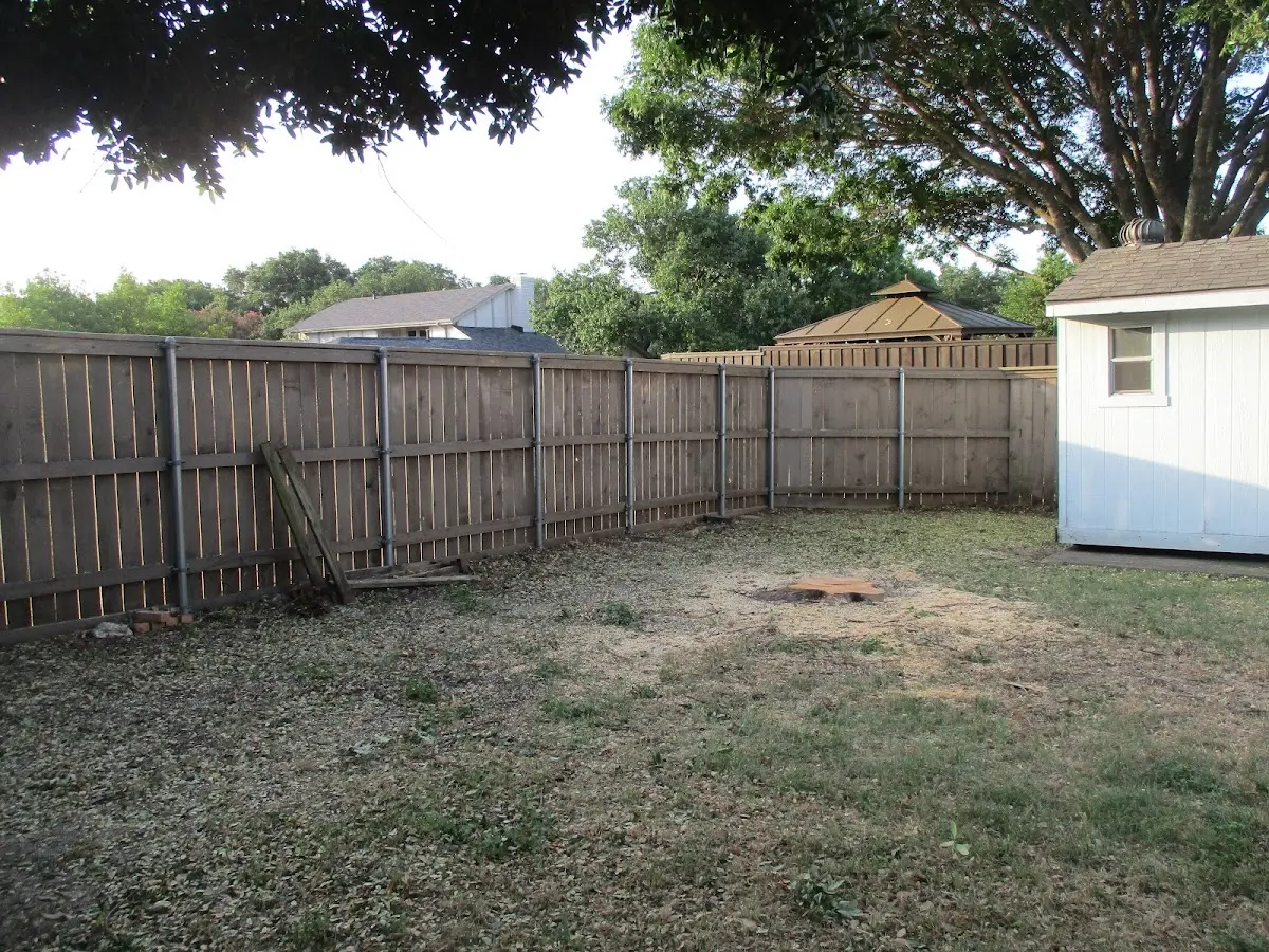 Cleared yard after professional tree removal in West Springfield